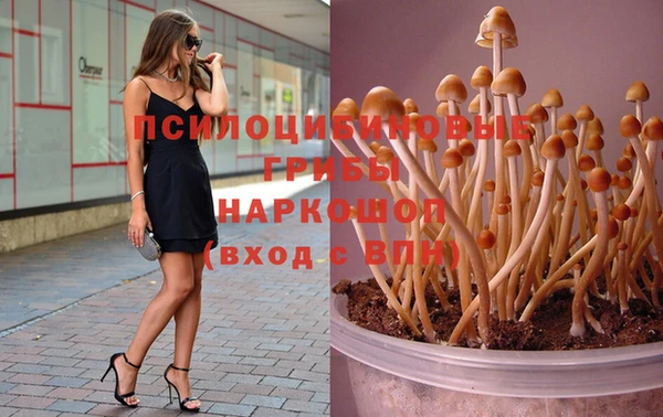 MDMA Нефтекумск