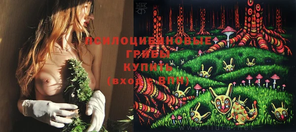 тгк Нефтегорск