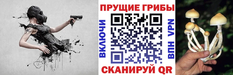 Псилоцибиновые грибы Psilocybine cubensis  МЕГА зеркало  Краснокаменск 