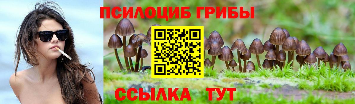 магазин  наркотиков  Галлюциногенные грибы ЛСД  Вход с VPN  Галлюциногенные грибы Magic Shrooms  Краснокаменск 